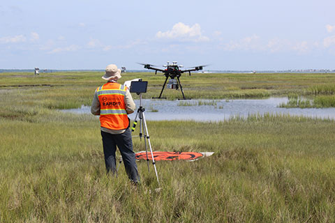 A researcher flying a drone in a field