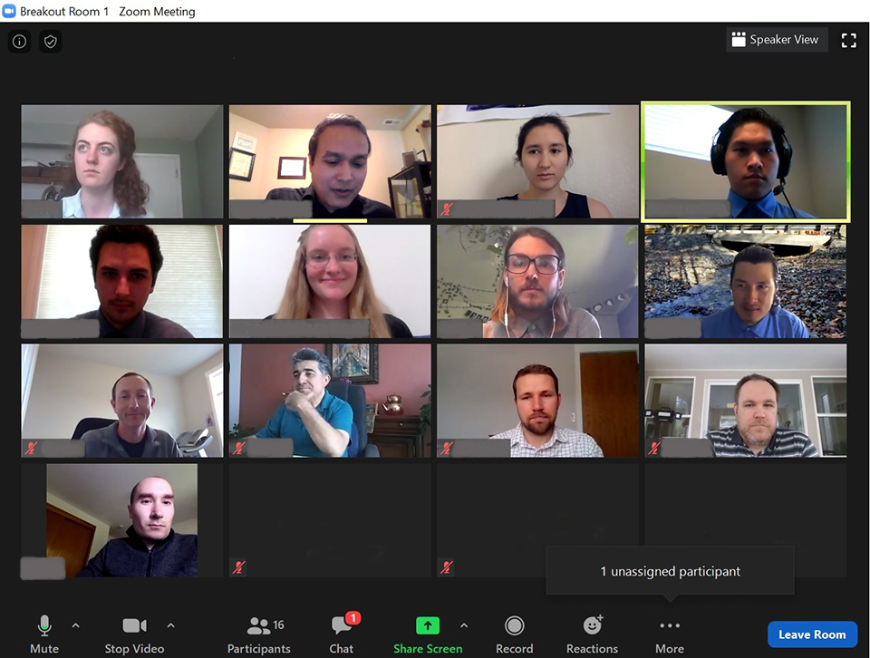 A screenshot of a Zoom meeting