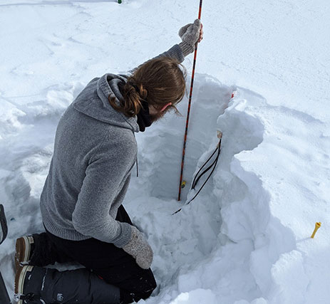 Research holding a long stick in the snow