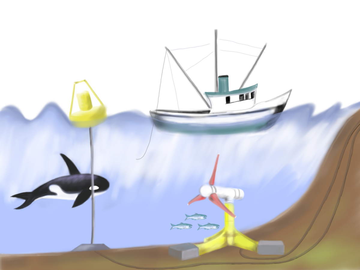 a diagram with a whale a boat and a turbine