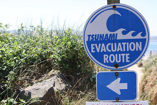 A sign that says 'Tsunami Evacuation Route'