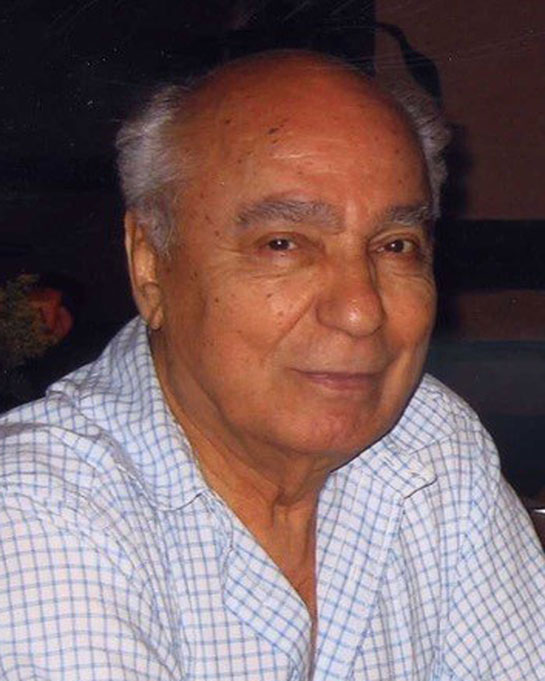 Professor Emeritus Demetrios “Dimitri” Spyridakis