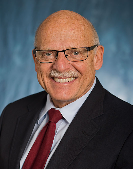 Professor Emeritus David Stensel