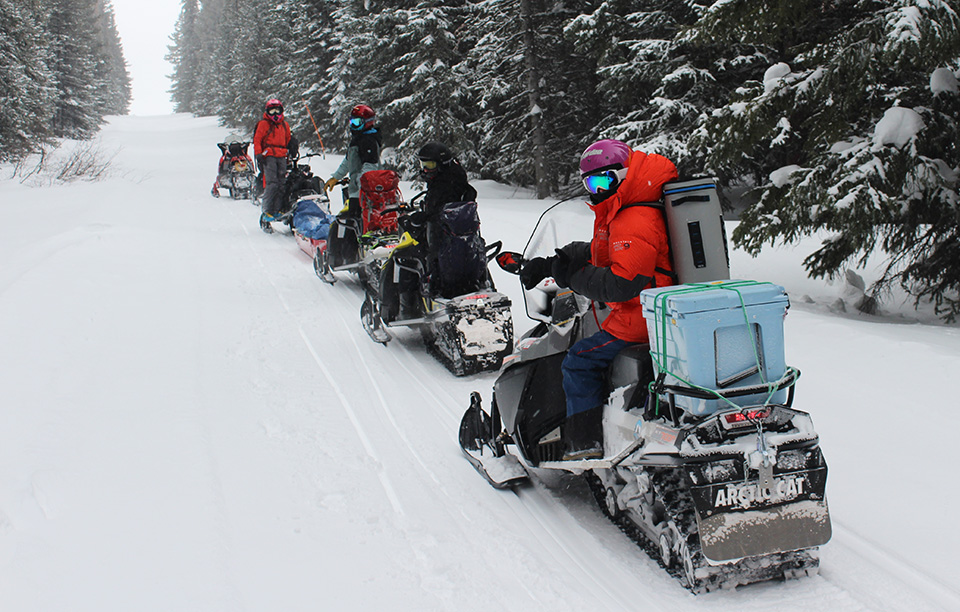 Researchers on snowmobiles