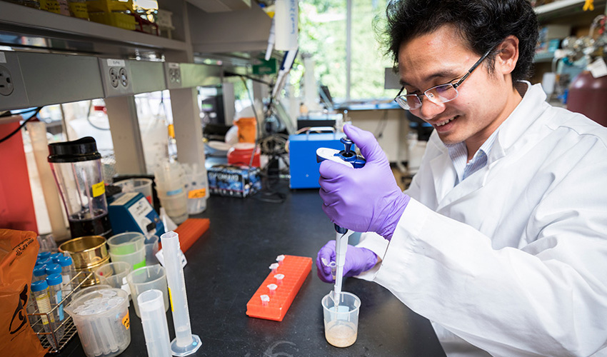 Researcher conducting research in a lab