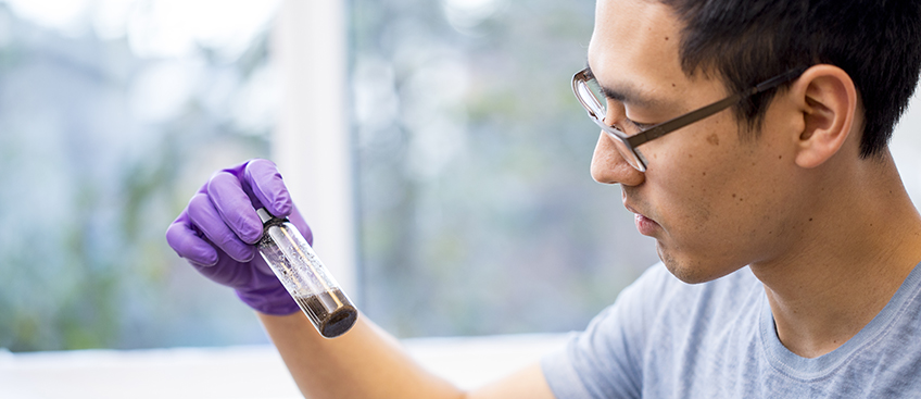 student looking at sample