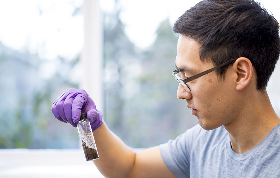 Student looking at sample