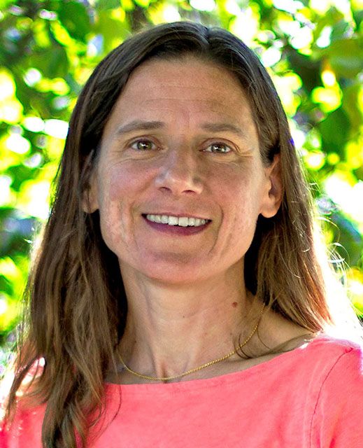 Professor Anne Goodchild