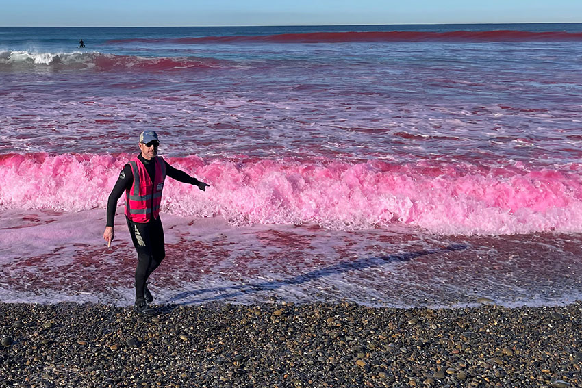 CEE Professor Alex Horner pointing at the pink-tined ocean wave
