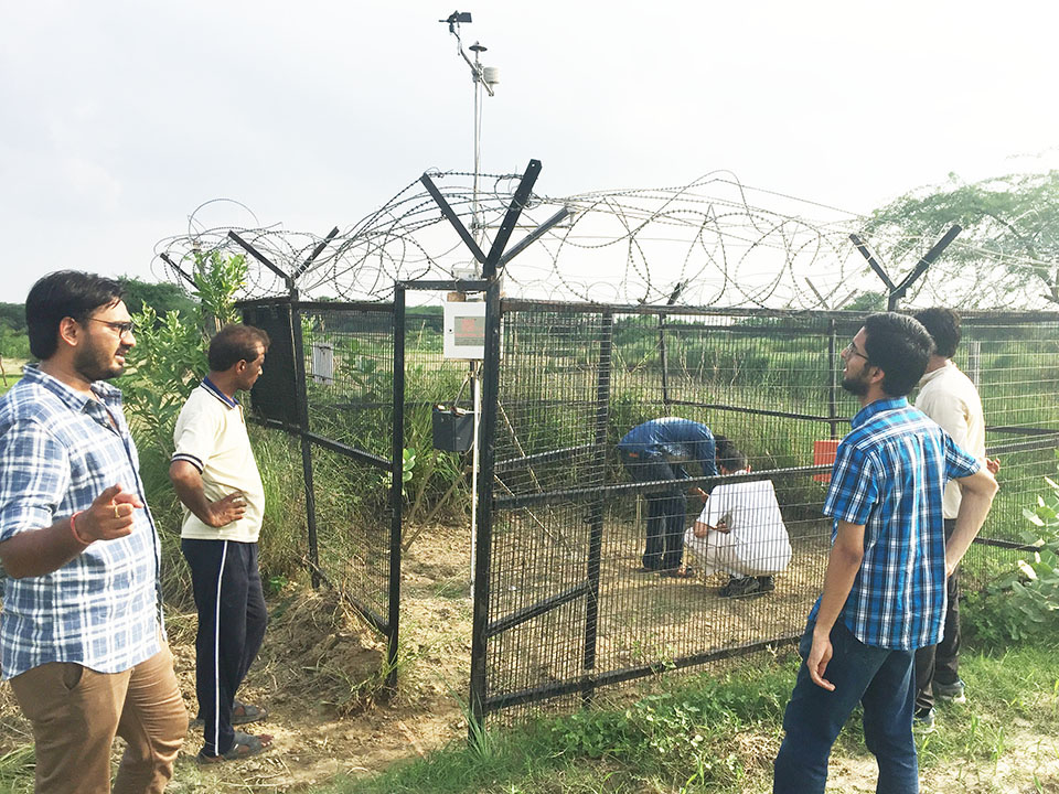 photo of a water hyacinth test