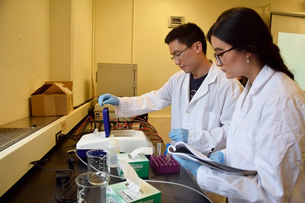 Two researchers working in a lab