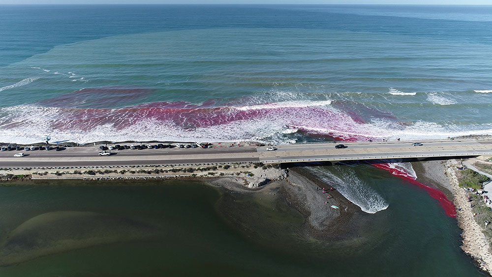 an aerial view of  bridge by the beach