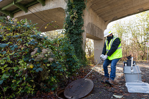 A researcher wearing safety vest lifting a sewer cover