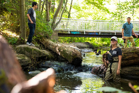 Three researchers stand in or near an urban creek in Seattle, Washington