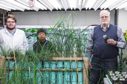 Grasses growing in tubes in the foreground. Two people stand behind them. Another person standing to the right. 
