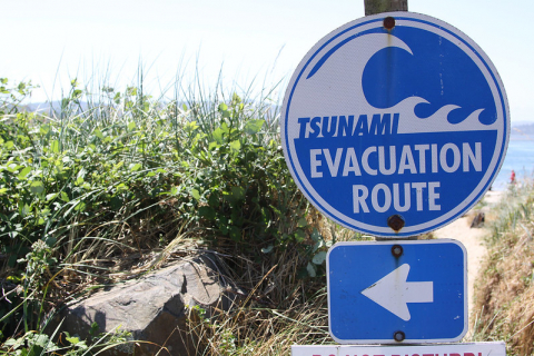 tsunami warning sign on the beach
