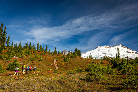 Students hiking up to the Easton Glacier