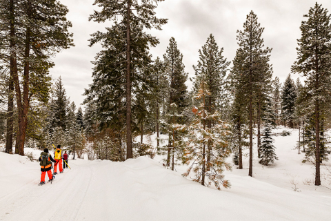 Researchers hike into the forest with snow on the ground