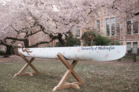A white canoe with Univeristy of Washington calligraphy and cherry blossoms painted on is displayed in front of cherry blossom trees.