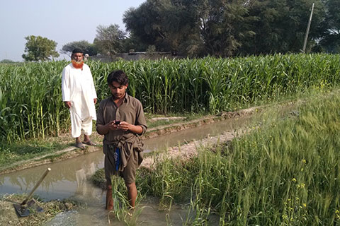 a Pakistani farmer standing in a farm field and looking down at this cell phone