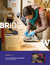 Bridge Spring 2018 cover