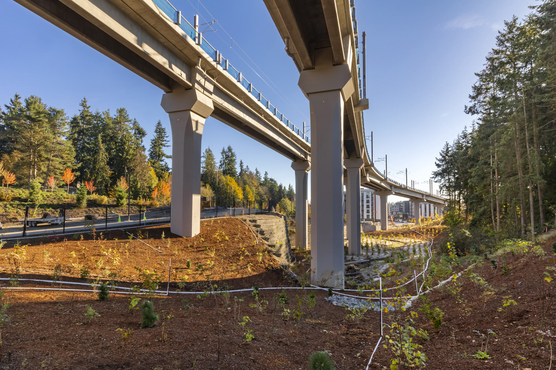 Elevated railway structure with concrete pillars