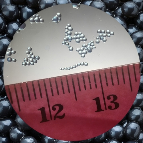 A microscope view of hydrogel beads next to a ruler, showing the beads are roughly 1 to 2 millimeters in diameter.