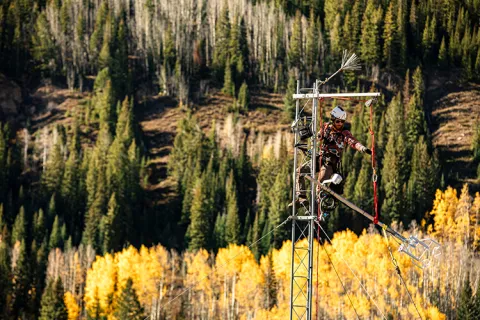 A researcher in a harness checks a tower in the forest. 