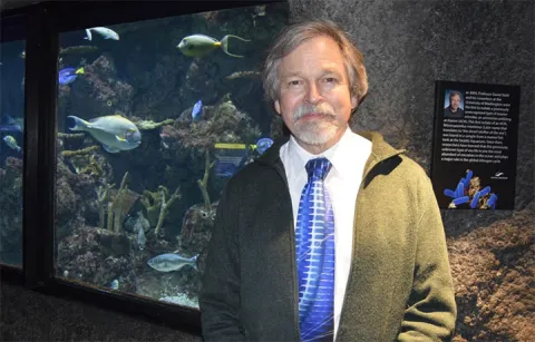 David Stahl