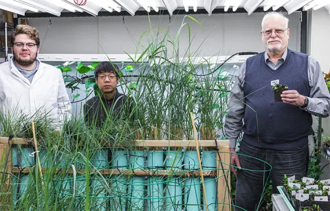 The team behind the modified houseplants