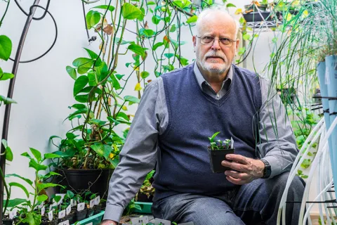 Stuart Strand portrait